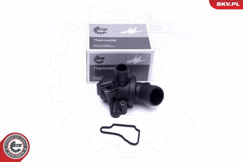 Thermostat, coolant